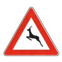 Animali selvatici