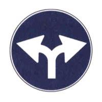 Figura del quesito