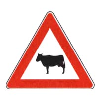 Animali domestici