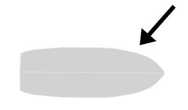 Figura del quesito